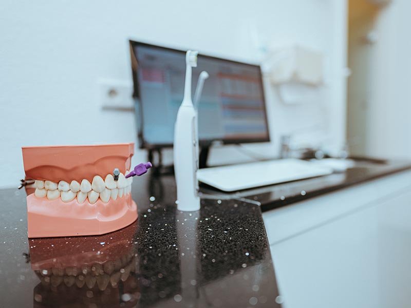 Zahnreinigung und Zahnvorsorge am Modell